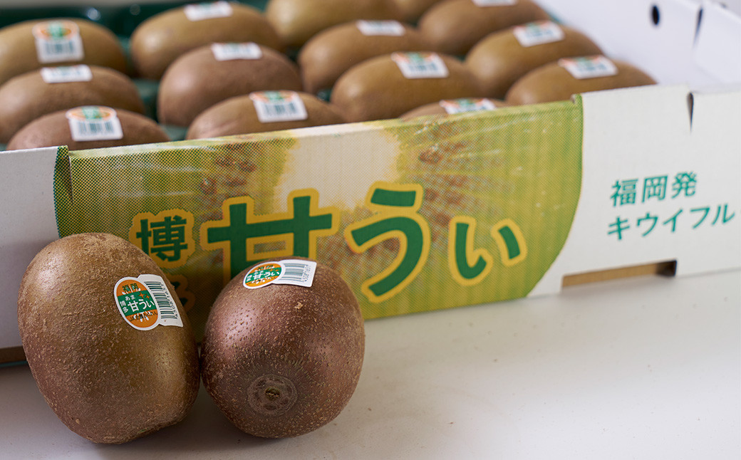 福岡県産 ブランドキウイ 甘うぃ 約1.5kg （12-15玉）