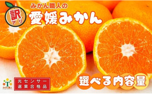 訳あり 愛媛みかん 約5kg 光センサー選果 柑橘 果物 国産 フルーツ 蜜柑 大小 ミックス 不揃い 傷 温州 ビタミン 美味しい みかん職人武田屋 愛媛県 愛南町 発送期間：9月中旬～1月下旬