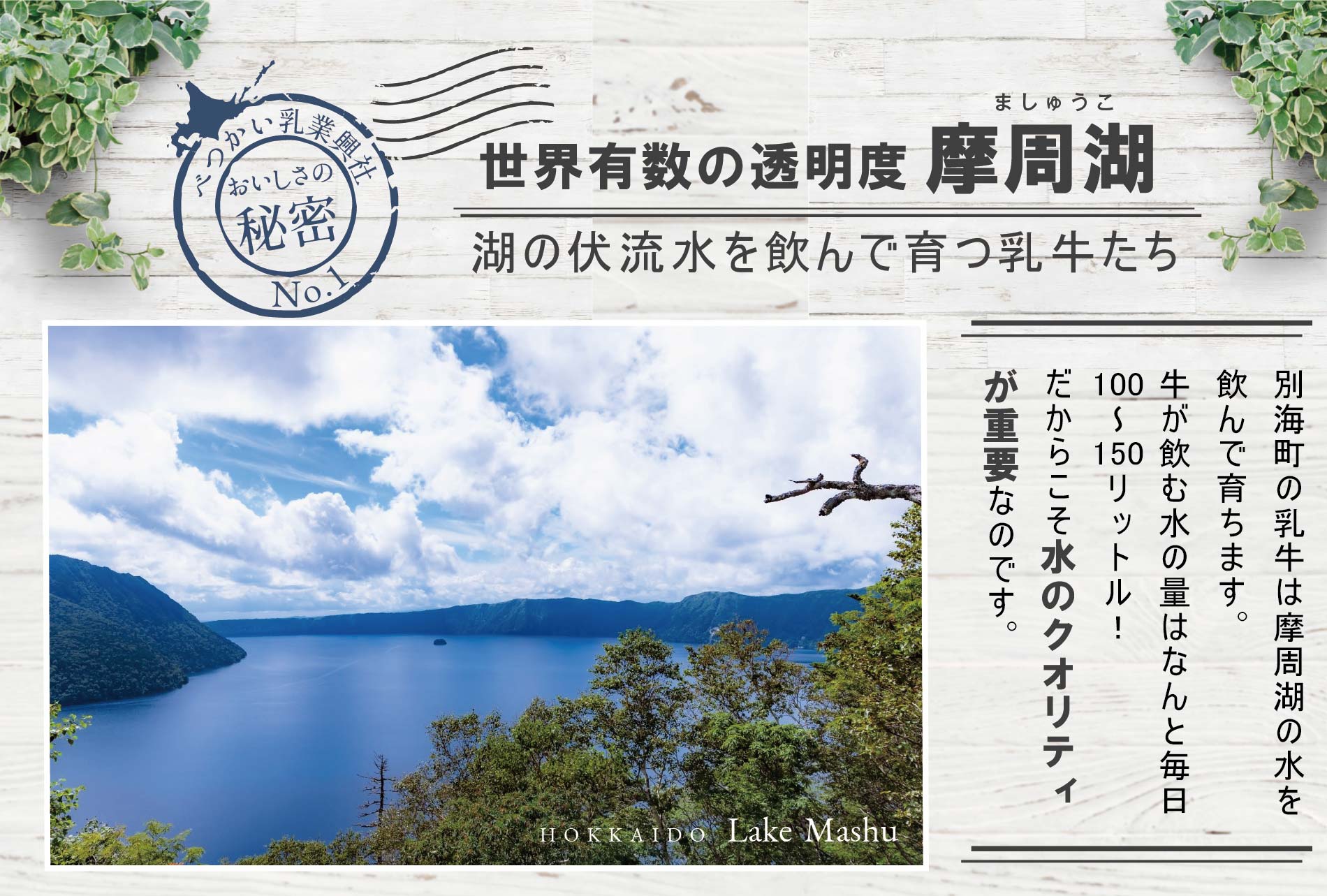 御礼！ランキング第1位獲得！乳製品お楽しみ4種セットA(バター2種/チーズ2種)（G-12）（12月発送）（ 乳製品セット 乳製品詰め合わせ 乳製品詰合せ 詰合せ 北海道 北海道産 ）