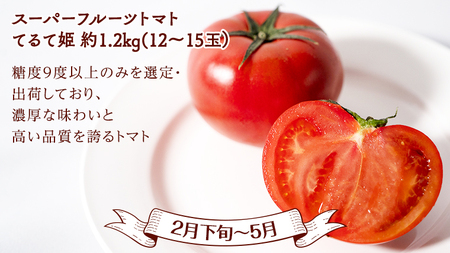 【 定期便 】【 2024年9月から発送開始 全4回 】 数量限定 フルーツ定期便 贅沢 フルーツ 満喫コース 旬 旬の果実 旬のフルーツ くだもの 果実 トマト フルーツトマト スイカ いちご メロ