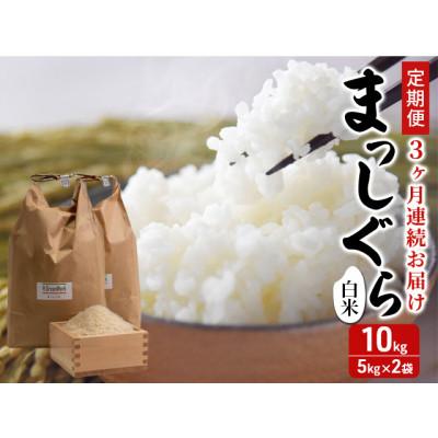 ふるさと納税 鰺ヶ沢町 【発送月固定定期便】まっしぐら 白米 10kg (5kg×2) [53841316]全3回