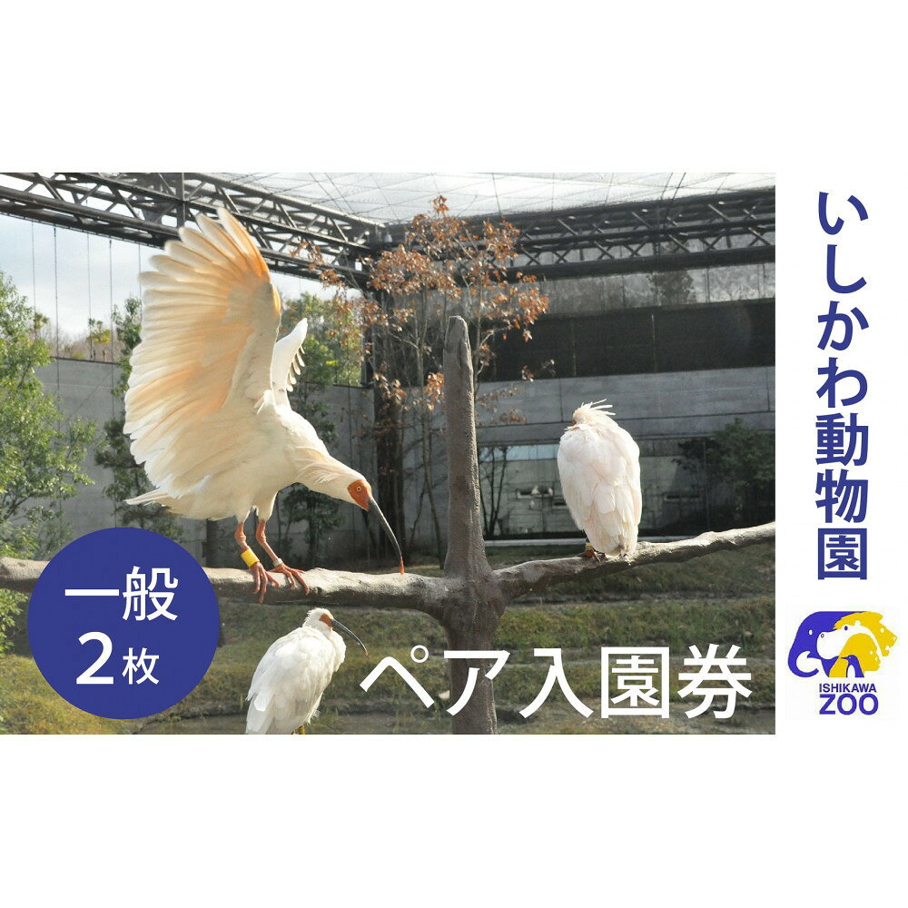 【ふるさと納税】チケット いしかわ動物園ペア入園券（一般）石川県 能美市