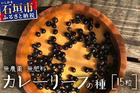 カレーリーフの種　15粒　CS-4