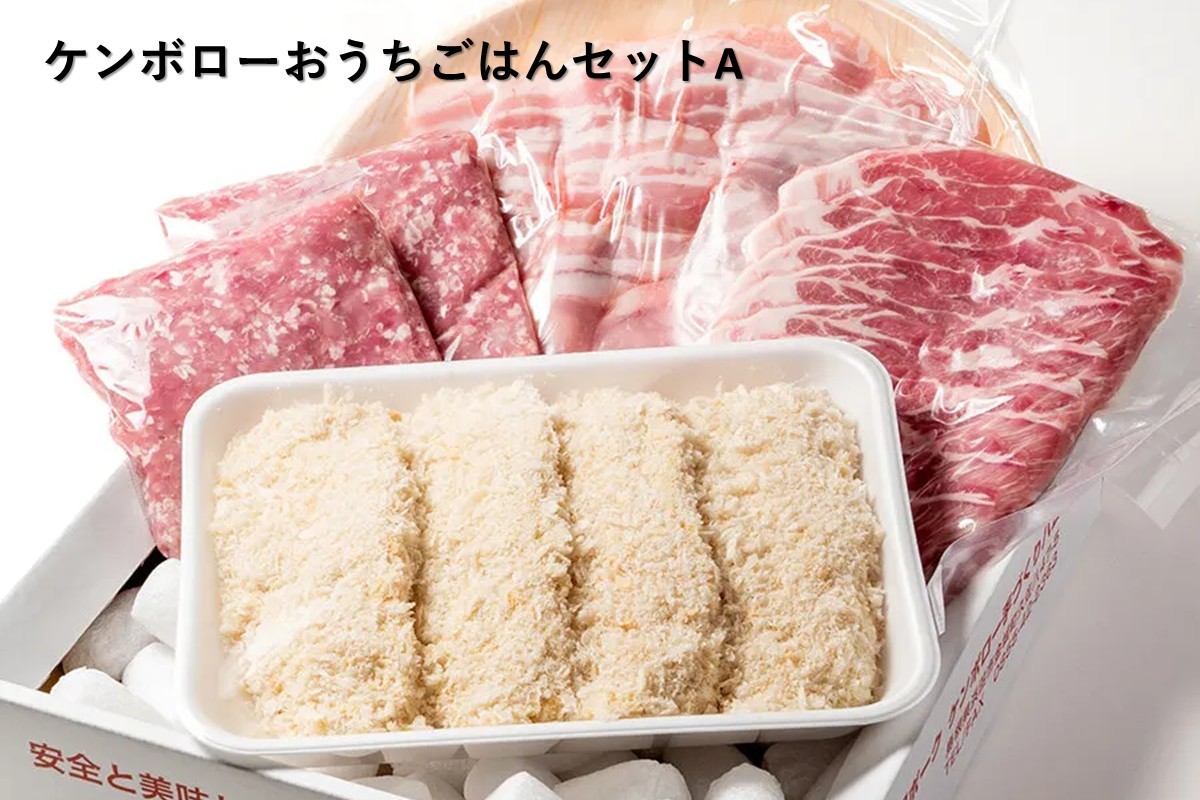 
            【年内配送】おうちごはんセットA（しゃぶしゃぶ、トンカツ、生姜焼き、豚ミンチセット） 肉 豚肉 ロース バラ トンカツ しゃぶしゃぶ ミンチ【002_1972】
          