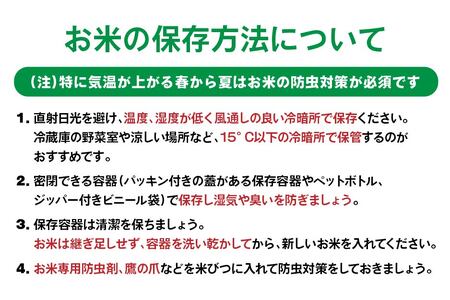青森県産 無洗米 はれわたり 10kg　