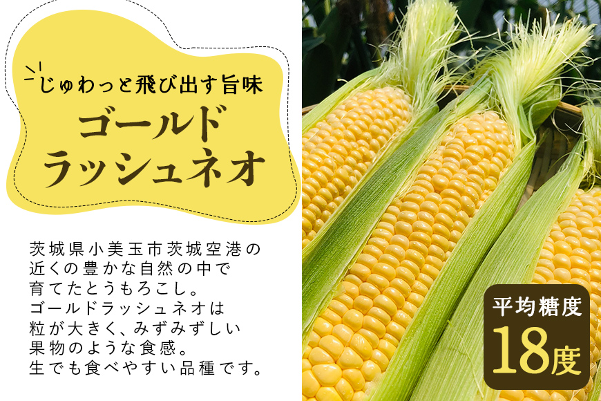 【数量限定 先行予約】＜2025年夏発送予定＞ブランドとうもろこし【Juwari-じゅわり-】ゴールドラッシュネオ 約4kg以上（8～10本入り） とうもろこし トウモロコシ 41-A
