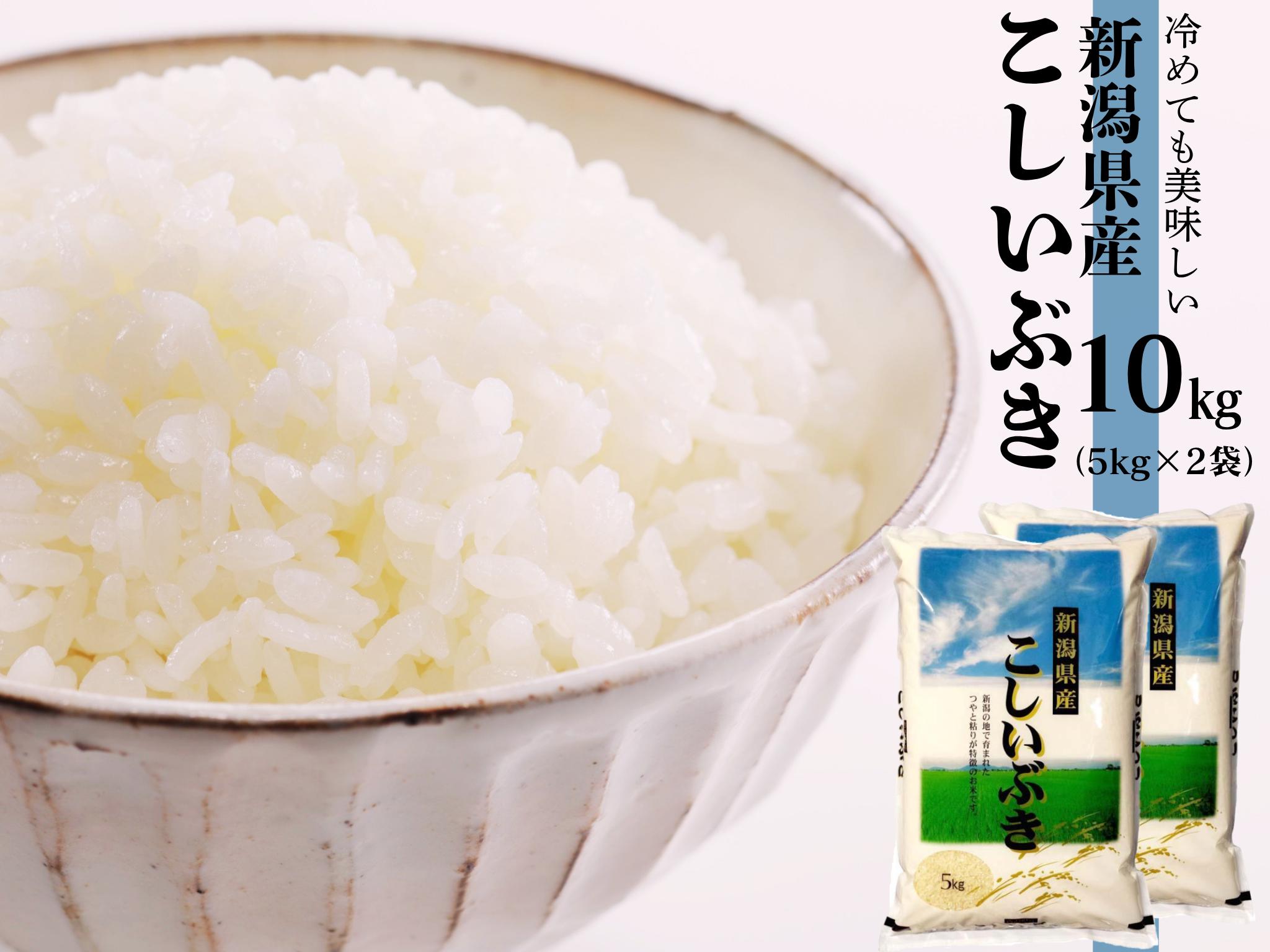 【こしいぶき 10kg（5kg×2袋）】令和7年産 新潟産こしいぶき 10kg（5kg×2袋） 白米 精米 関口商店|新潟県産こしいぶき阿賀野市産こしいぶき 阿賀野産こしいぶき 阿賀野こしいぶき こしいぶき お米 米 ブランド米 おこめ コメ 10キロ 有機質肥料 にいがた あがの 新潟県 阿賀野市 1N17016