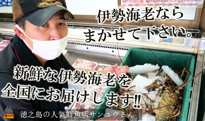 鹿児島県徳之島町の人気鮮魚店「サンユウ」さんから直送です。