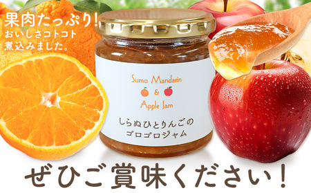 ジャム フルーツ 不知火 りんご しらぬひとりんごのゴロゴロジャム 1個 (1個250g) 有限会社美馬交流館《30日以内に出荷予定(土日祝除く)》徳島県 美馬市 送料無料 ジャム 果物 果肉 ごろご