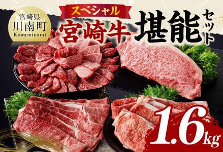 宮崎牛 堪能セット 【スペシャル】 合計1.6kg【 肉 牛肉 国産 宮崎県産 黒毛和牛 和牛 モモスライス カルビ 】