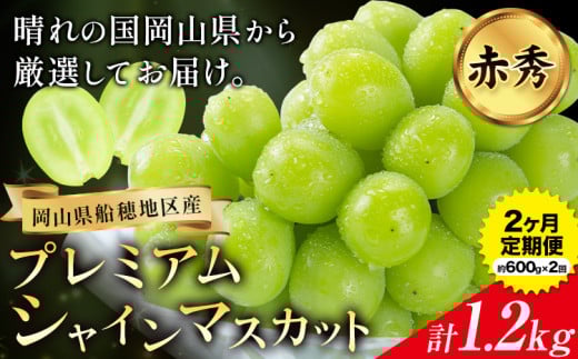 【2026年先行予約】ぶどう プレミアム シャインマスカット定期便 9月 10月発送 船穂 赤秀品 晴王 計1.2kg(約600g×2回お届け)《2026年9月中旬-10月中旬頃出荷》晴レ乃青果　(岡山中央卸売市場店(富士紙工 有限会社))マスカット 岡山県 浅口市 フルーツ 果物 【配送不可地域あり】