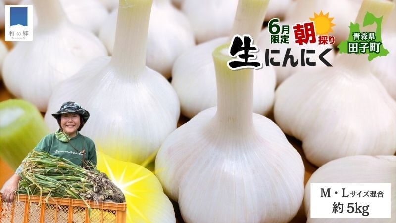 
            令和8年産朝採り直送！田子（たっこ）生にんにく約5kg（青森県田子町産にんにくM～Lサイズ混合）
          