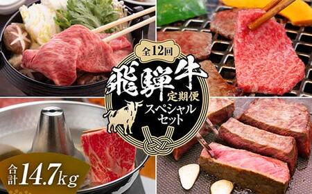 【定期便】飛騨牛 全12回 合計14.7kg スペシャルセット ステーキ 焼肉 しゃぶしゃぶ すき焼き 牛肉 黒毛和牛 5等級 肉  牛 ビーフ 食品 岐阜県 坂祝町 F6M-063