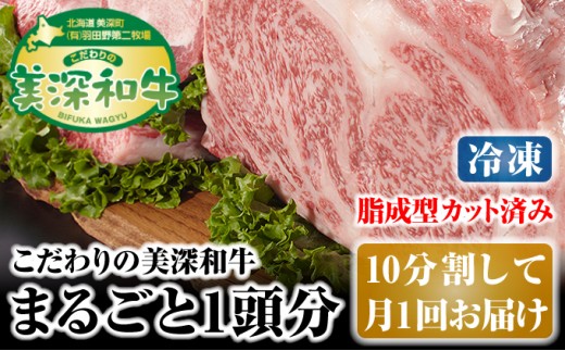 
[№5894-0256]北海道 こだわりの美深和牛1頭分（冷凍）10分割して月1回お届け
