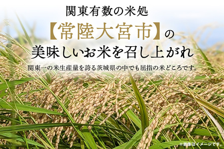 コシヒカリ 常陸大宮産 10kg(5kg×2) こしひかり ブランド米 茨城 【コシヒカリ】【ho1397】