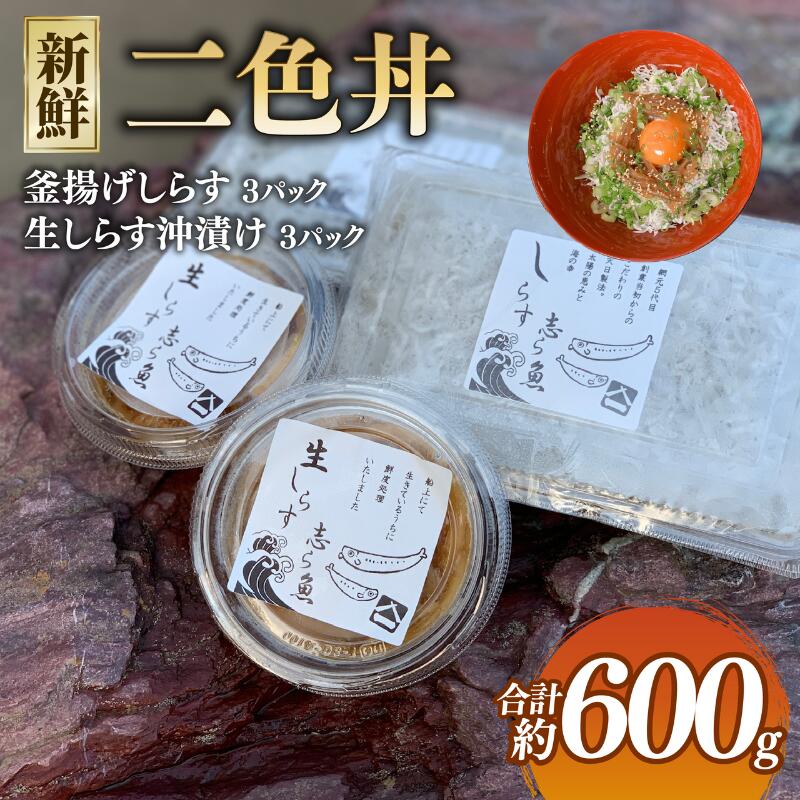 【ふるさと納税】 二色丼 生シラウオ沖漬け 釜揚げしらす 各3パック 合計600g セット しらす 白魚 シラウオ しらうお 釜揚げ 沖漬け 海鮮丼 魚介類 無添加 魚介 ギフト お祝い 送料無料 飯岡ヤマイチ水産-大納屋- メディア 千葉県 旭市