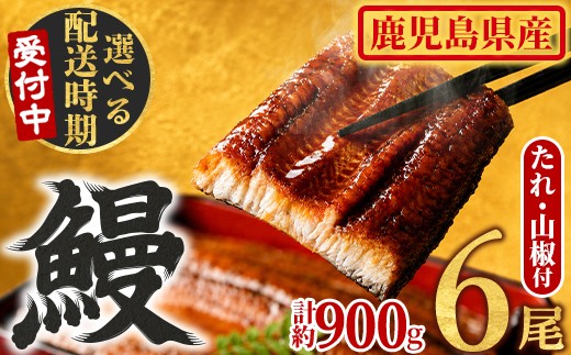 
                  ＜発送時期が選べる＞東串良町のうなぎ蒲焼(無頭)(6尾・計約900g・タレ、山椒付) うなぎ 高級 ウナギ 鰻 国産 蒲焼 蒲焼き たれ 鹿児島 ふるさと 人気 【アクアおおすみ】
                