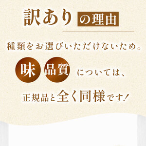 季節の ケーキ おまかせ 1種 手作り ケーキ デザート スイーツ 洋菓子 おやつ ギフト 贈り物 絶品 サンフランシスコパイハウス 静岡県 牧之原市