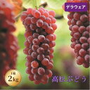 【ふるさと納税】【能登半島地震復興支援】高松ぶどう1箱＜2025年収穫分　先行予約＞