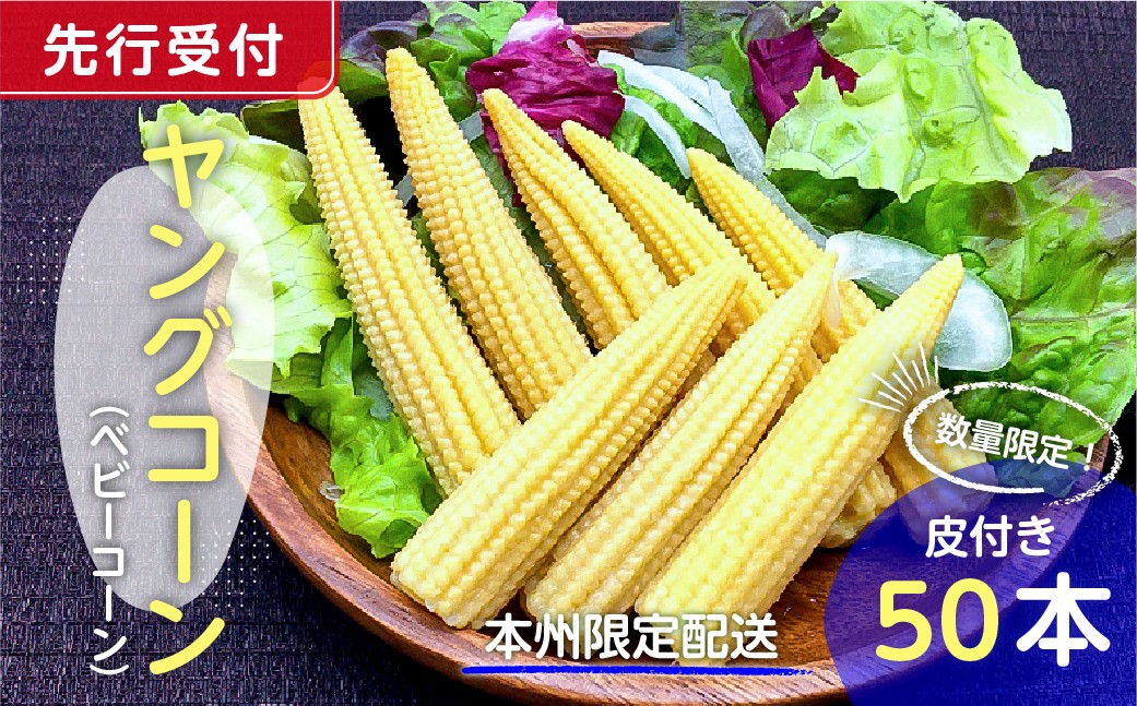 
            【先行受付 2025年6月上旬～7月中旬発送予定】数量限定！ヤングコーン(ベビーコーン）50本 mi0044-0003【とうもろこし 野菜 コーン 新鮮 数量限定】
          