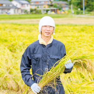 山口ファームのお米 こしひかり精米6kg(3kg×2袋)「じゃばみ」【1344366】