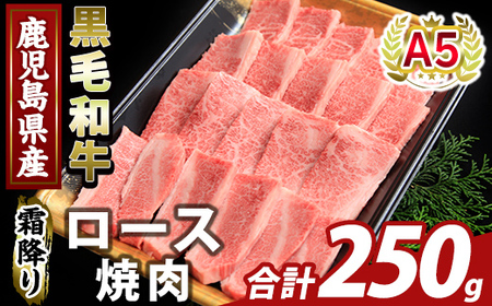 K-482-A 鹿児島県産A５等級黒毛和牛霜降り上ロース焼肉(計250g)【KNOT】霧島市 牛肉 国産 鹿児島県産 ロース 焼肉 肉 精肉