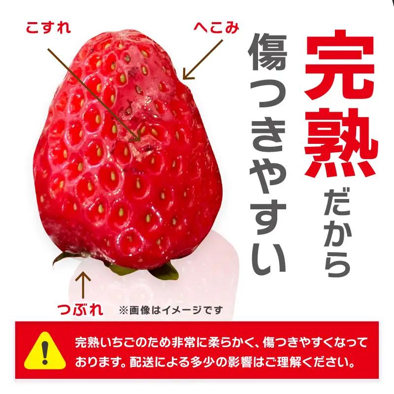 【1300】まりひめ4パック《先行予約》2027年1月～4月末まで順次発送予定【配送不可地域：北海道・青森・秋田・岩手・沖縄・離島】