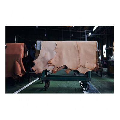 ふるさと納税 姫路市 [53657042]good collar 5号 ヒノキ |  | 02