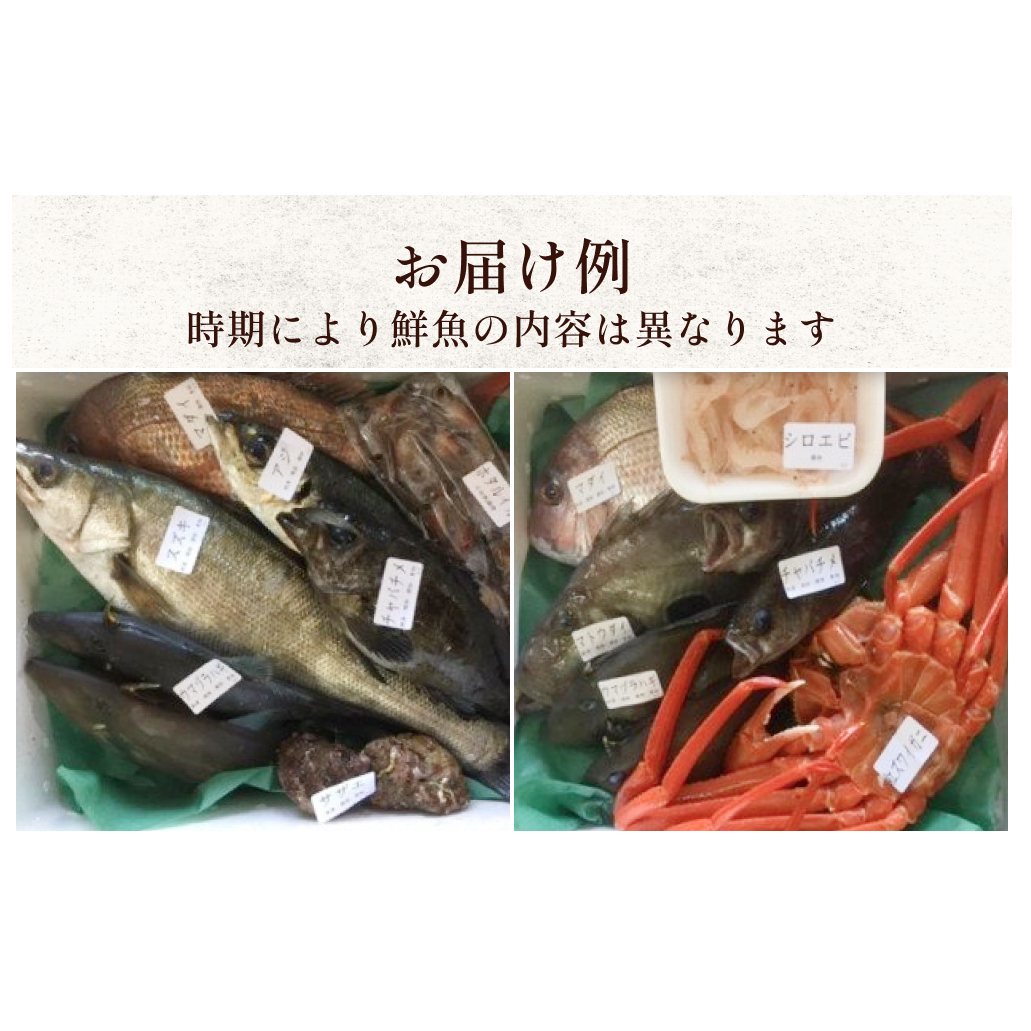 天然のいけす 富山湾 氷見漁港 旬の鮮魚セット※配送地域限定_イメージ3
