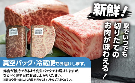 飛騨牛 訳あり ブロック 牛肉 訳あり 1kg