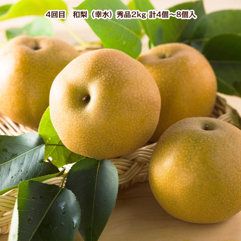 【定期便5回】冬から始まる 山形まるごと！人気の果物ベス