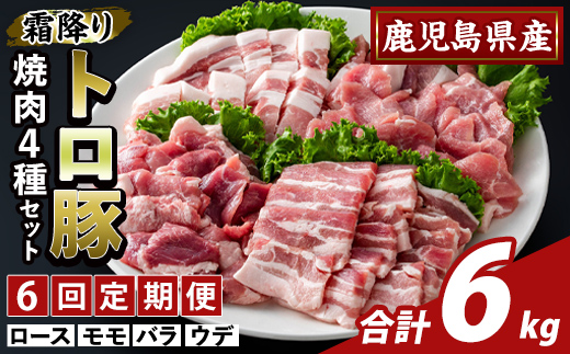K-379-E ＜6回定期便＞鹿児島県産霜降りトロ豚 焼肉用バラエティセット(合計6kg)【ふるさと産直バザール】霧島市 ロース バラ ウデ モモ 焼き肉 ヤキニク 豚肉 国産 鹿児島県産 肉 精肉 