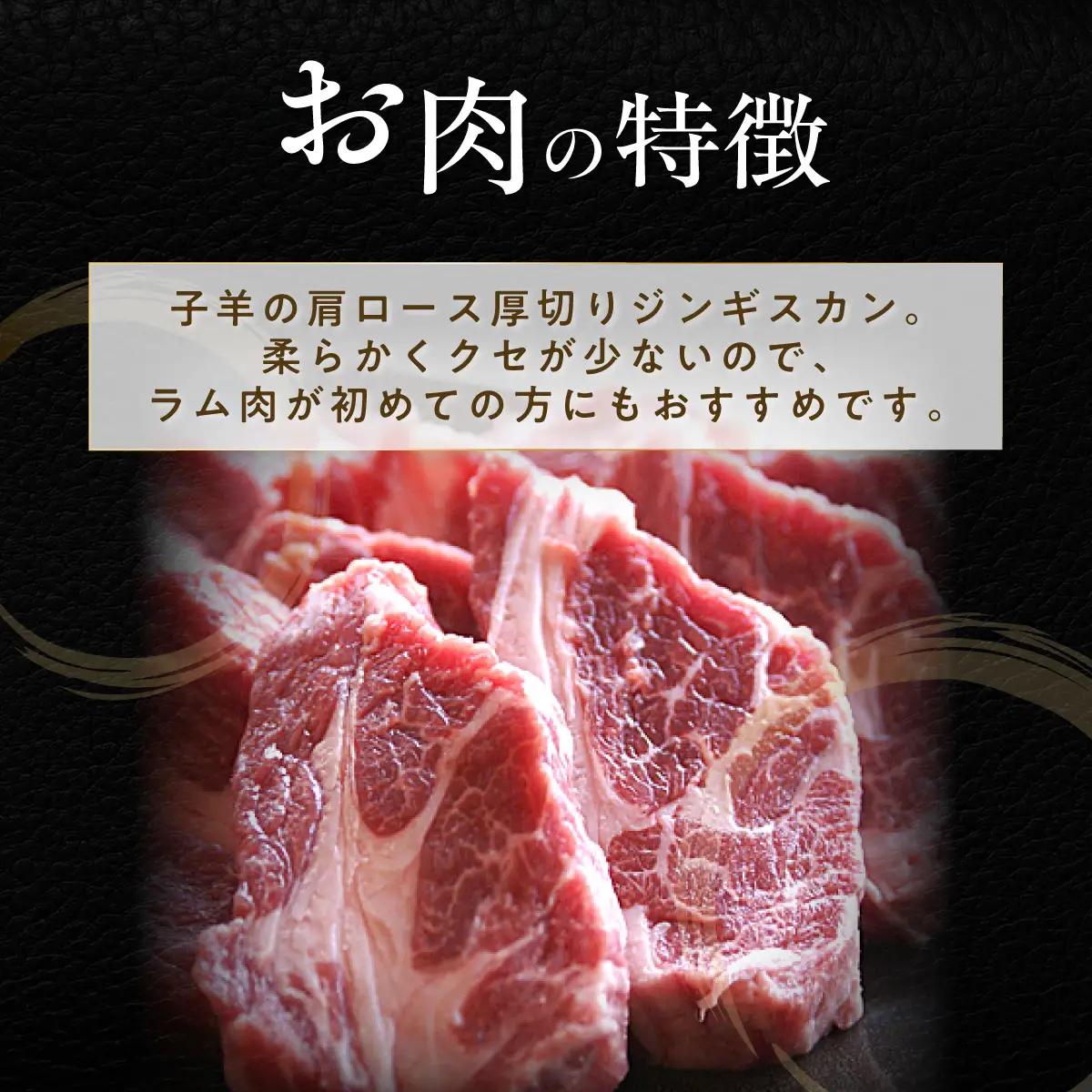 【12ヶ月定期便】塩ジンギスカン500g×1 味付けジンギスカン500g×1 セット MROA303