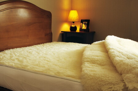 The PREMIUM Sofwool 掛け毛布セミダブル (160×190cm) [0969]【db】