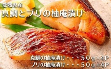 愛媛県産真鯛とブリの柚庵漬け 各４パックセット | 海鮮 魚介 鯛 ブリ ブリ ブリ ブリ ブリ ブリ ブリ ブリ 簡単調理のお惣菜 惣菜 ご飯のお供 酒の肴 愛媛県 松山市【TS030_x】