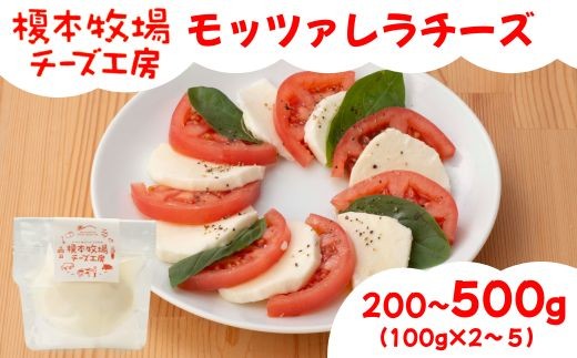 
                  モッツァレラチーズ 選べる容量 200~500g (100g×2~5) ナチュラルチーズ 生乳 国産【榎本牧場チーズ工房】
                