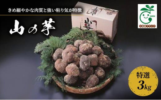 【ふるさと納税】 三田特産 山の芋 ( 特選3kg ) 山芋 芋 特選 特産 ギフト お祝い 贈答品 中元 歳暮 数量限定 期間限定 人気 ふるさと納税 ふるさと 人気 おすすめ 送料無料 兵庫県 三田市 [№5337-0269]