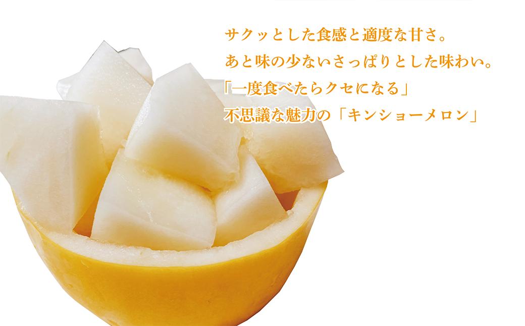 熊本県 菊池市産 キンショーメロン 4kg(6～9玉) 【2024年4月上旬～7月上旬発送予定】メロン ノーネット