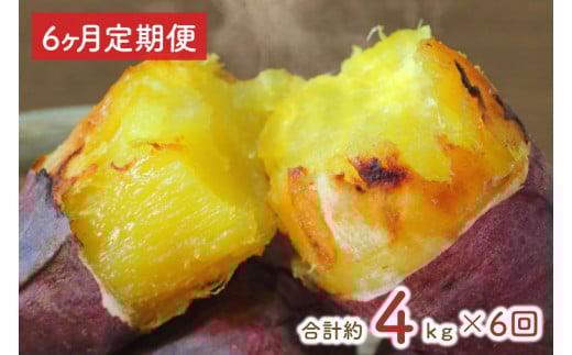 【2025年1月中旬より順次発送】【6ヶ月定期便】★訳あり★紅はるか冷凍焼き芋約3.7kg＋おまかせ品種さつまいも　合計約4kg（EY-30）