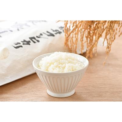 ふるさと納税 小浜市 【毎月定期便】農家直送米福井こしひかり5kg全3回