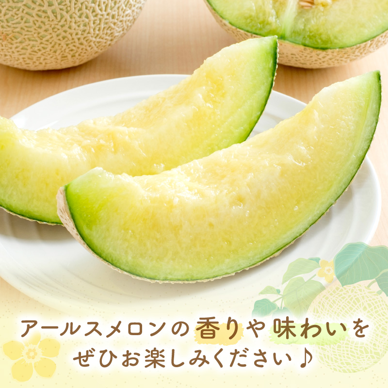 アールスメロン(マスクメロン) 4玉 6kg程度 糖度13度程度≪家庭用≫【配送不可地域：北海道・青森・秋田・岩手・沖縄・離島】【1355】
