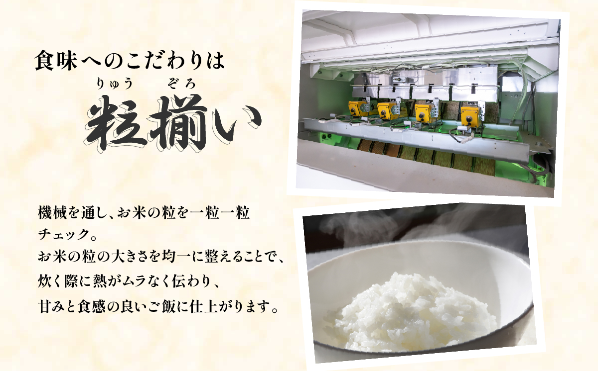 【最短7日発送】精米 にじのきらめき 10kg 茨城県下妻市産 【 お米 米 白米 ご飯 こめ にじのきらめき 令和7年産 茨城県産 】 精米にじのきらめき10kg | 17,000円