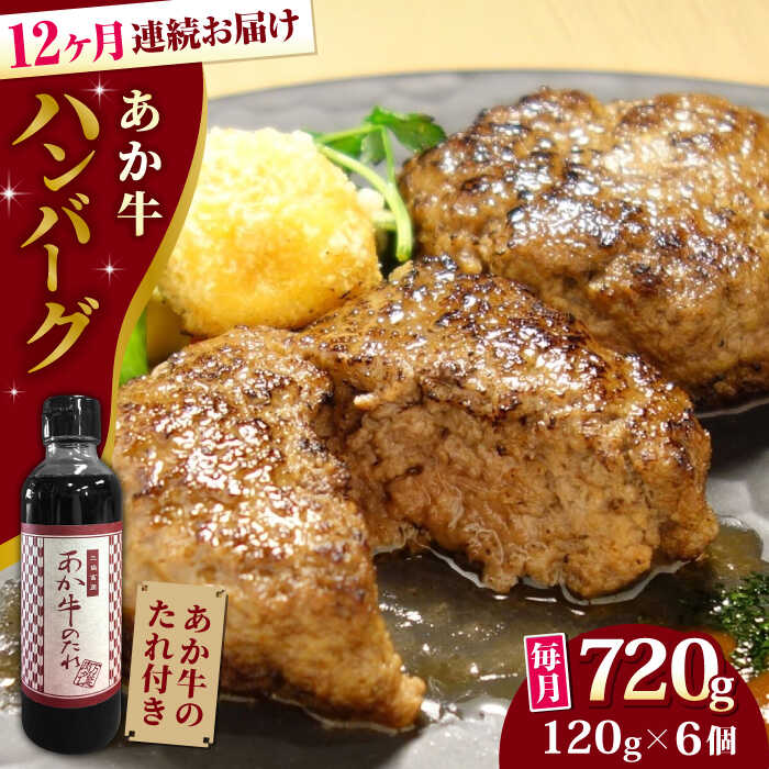 【ふるさと納税】【全12回定期便】【日本ギフト大賞 受賞】熊本県産 あか牛ハンバーグ 720g ( 120g × 6個 ) 冷凍 専用タレ付き あか牛のたれ付き 個包装 熊本和牛【有限会社 三協畜産】[YCG083]