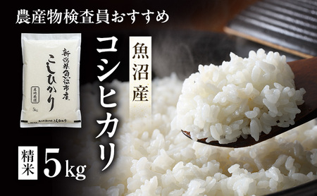 令和7年産 農産物検査員お奨め 魚沼産こしひかり（精米）5kg お米 コシヒカリ