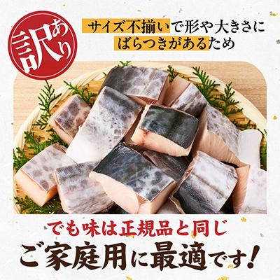 ふるさと納税 泉佐野市 【お弁当サイズ】さわら 切身 約50g×10切れ 小分け 500g 訳あり G3707 |  | 01