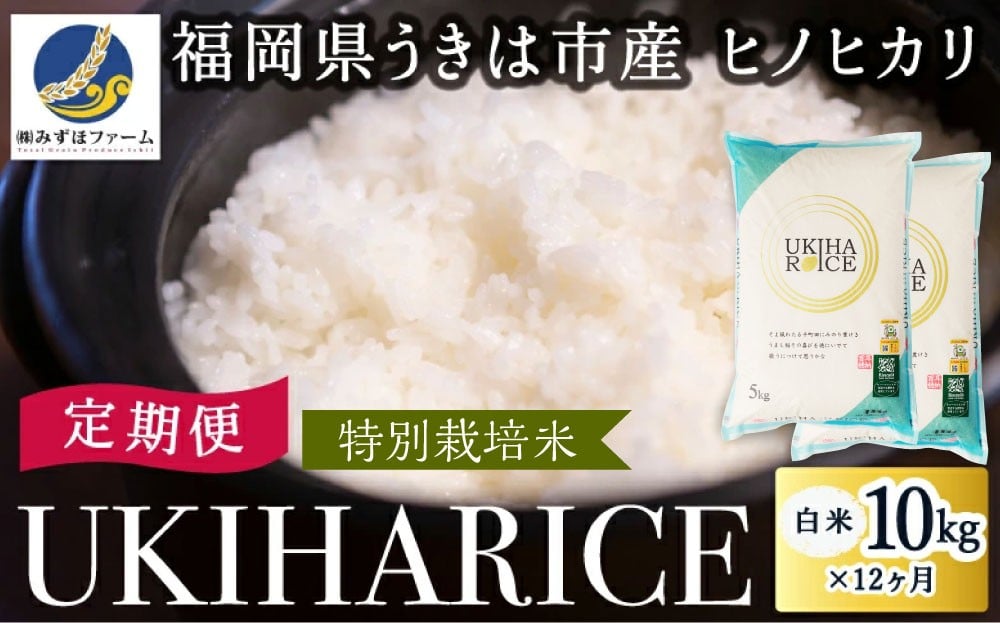 
            【12ヶ月定期便】みずほファーム UKIHA RICE (白米10kg×12ヶ月)  【特別栽培米】 【2025年11月より順次発送予定】 米 ヒノヒカリ お米 ご飯 うきは市
          