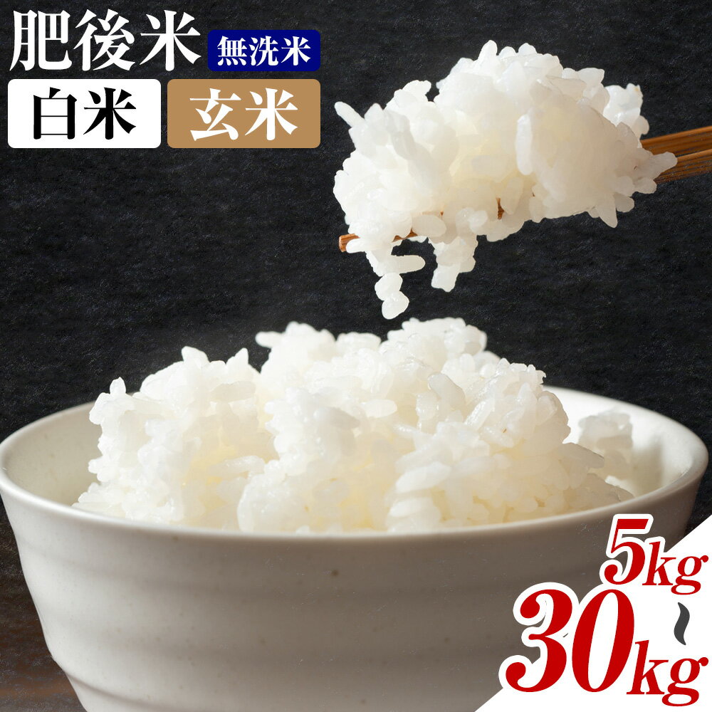 【ふるさと納税】熊本県産 肥後米 無洗米 白米 玄米 5kg/10kg/20kg/30kg 定期便 選べる内容量 1袋5kg 米 お米 令和6年産 九州産 熊本県産 ブレンド米 送料無料【30日以内に出荷予定（土日祝除く）】玄米 無洗米 白米 米