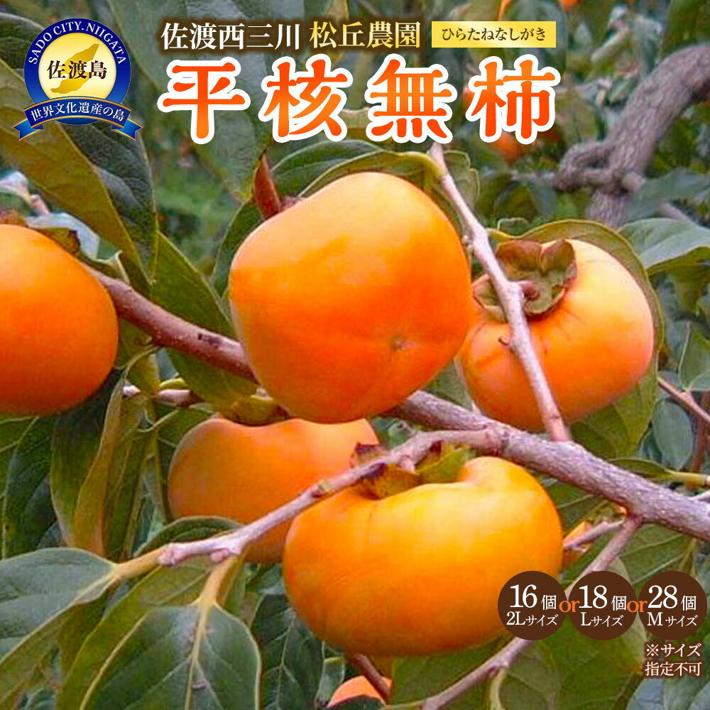 【ふるさと納税】【先行予約】佐渡・松丘農園の「平核無柿（ひらたねなしがき）」2Lサイズ16個またはLサイズ18個またはMサイズ28個（サイズ指定不可）