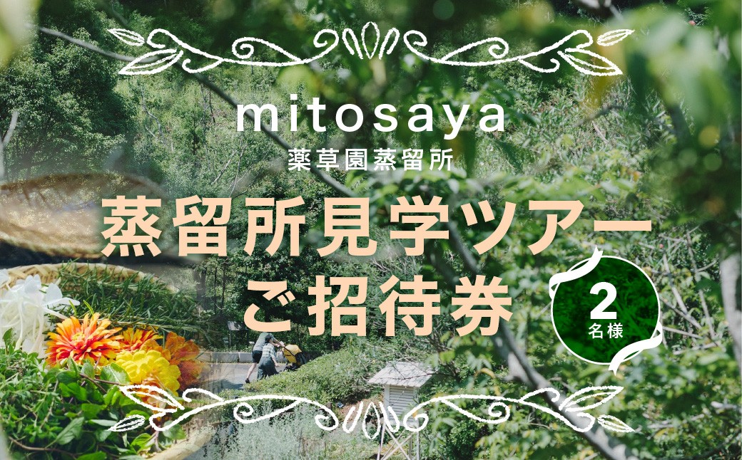 
                  MITOSAYA　蒸留所見学ツアーご招待券　2名様 W02403
                