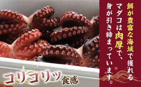 【コリコリ肉厚の天然タコ！】ゑべす蛸 計600g（150g×4P）＜大瀬戸町漁協＞ [CAR003]